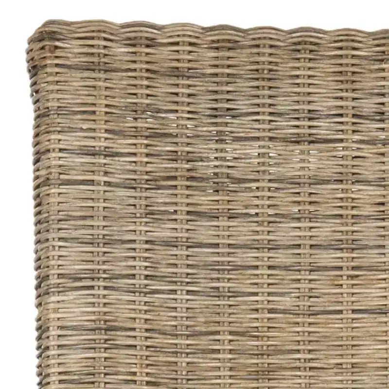Arjun 18 H Wicker Dining Chair (Set of 2) - SEA8013 - Safavieh