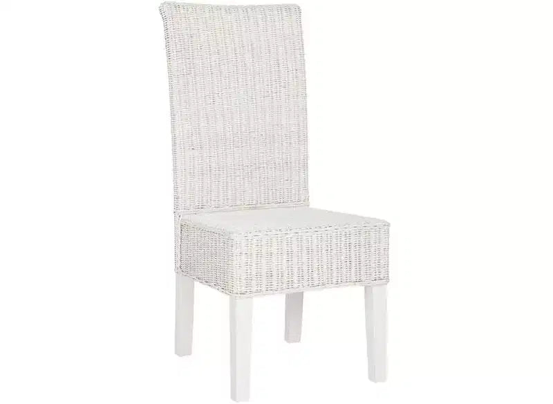 Arjun 18 H Wicker Dining Chair (Set of 2) - SEA8013 - Safavieh