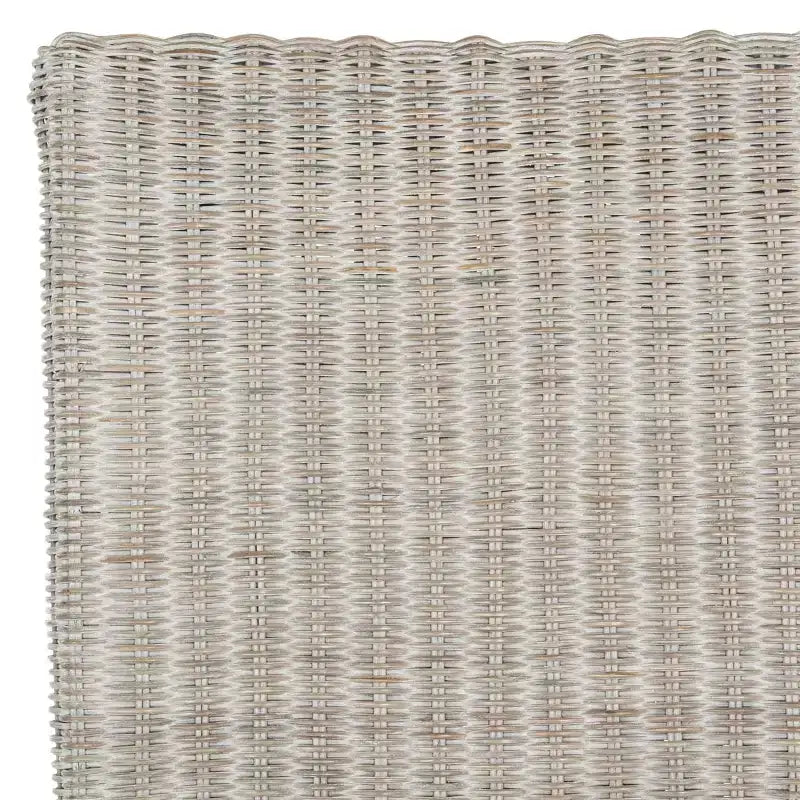 Arjun 18 H Wicker Dining Chair (Set of 2) - SEA8013 - Safavieh